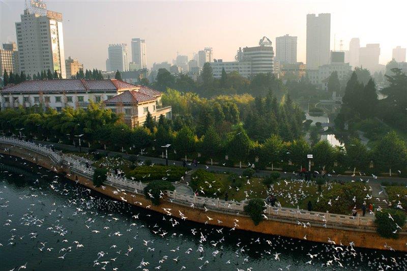 母親河盤龍江 http://m.fg316.com/ 母親河盤龍江 http://m.fg316.com/