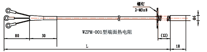 WZPM-001端面鉑電阻結構示意圖 WZPM-001端面鉑電阻結構示意圖