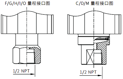 直連式壓力變送器標準形式過程連接 直連式壓力變送器標準形式過程連接