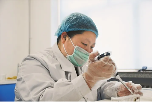 二十大代表 高馨玉 二十大代表 高馨玉