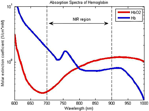 含氧血紅蛋白和脫氧血紅蛋白的吸收光譜 含氧血紅蛋白和脫氧血紅蛋白的吸收光譜