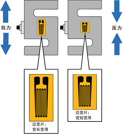 稱重傳感器內部結構